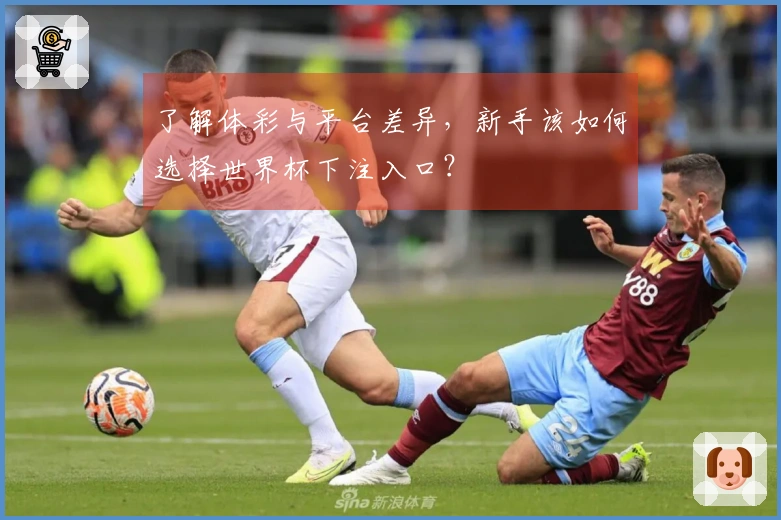 了解体彩与平台差异，新手该如何选择世界杯下注入口？