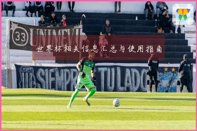 世界杯相关信息汇总与使用指南