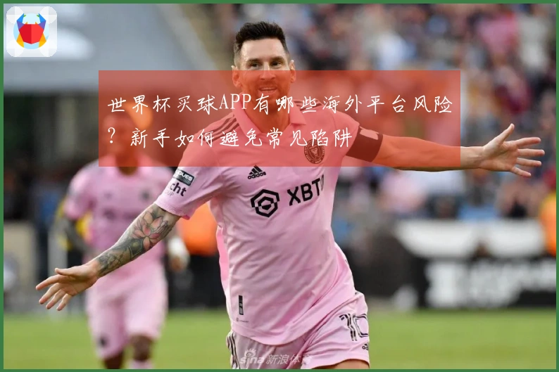 世界杯买球APP有哪些海外平台风险？新手如何避免常见陷阱