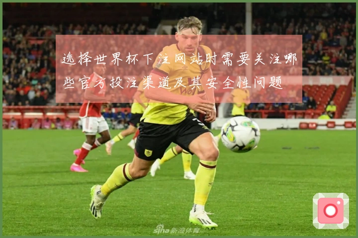 选择世界杯下注网站时需要关注哪些官方投注渠道及其安全性问题