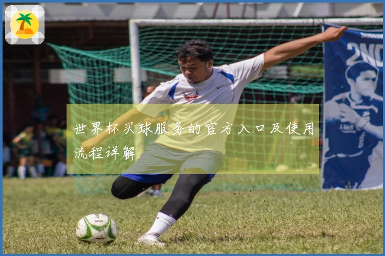 世界杯买球服务的官方入口及使用流程详解