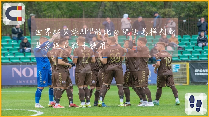 世界杯买球APP的比分玩法怎样判断是否适合新手使用