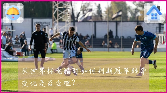 买世界杯竞猜时如何判断冠军赔率变化是否合理？