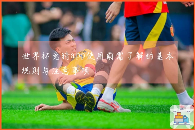 世界杯竞猜app使用前需了解的基本规则与注意事项