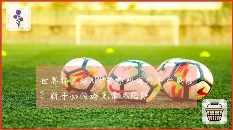 世界杯买球APP有哪些海外平台风险？新手如何避免常见陷阱