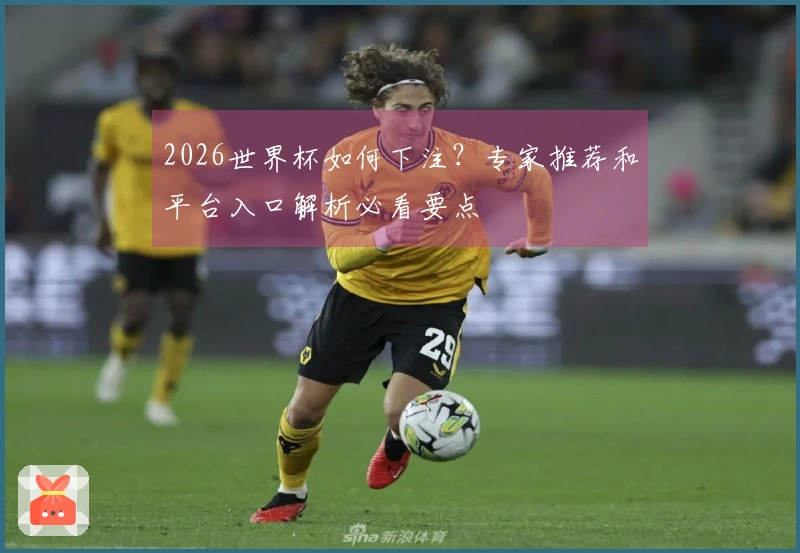 2026世界杯如何下注？专家推荐和平台入口解析必看要点
