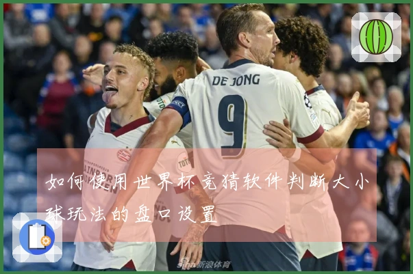 如何使用世界杯竞猜软件判断大小球玩法的盘口设置