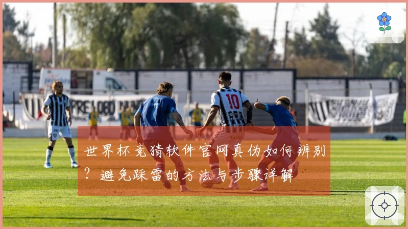 世界杯竞猜软件官网真伪如何辨别？避免踩雷的方法与步骤详解