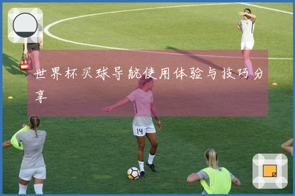 世界杯买球导航使用体验与技巧分享