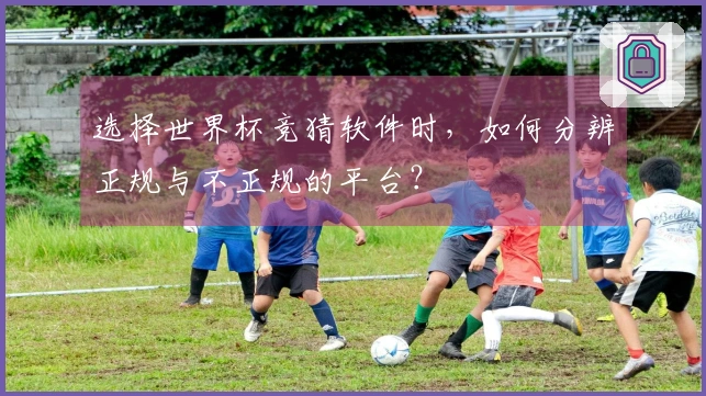选择世界杯竞猜软件时，如何分辨正规与不正规的平台？