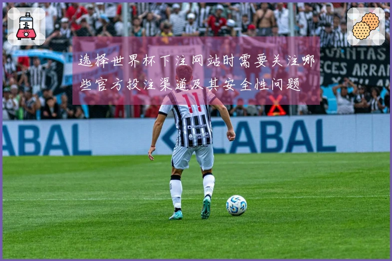 选择世界杯下注网站时需要关注哪些官方投注渠道及其安全性问题