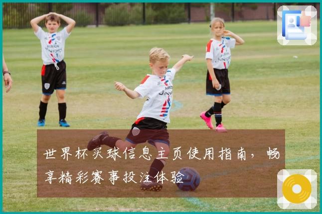 世界杯买球信息主页使用指南，畅享精彩赛事投注体验