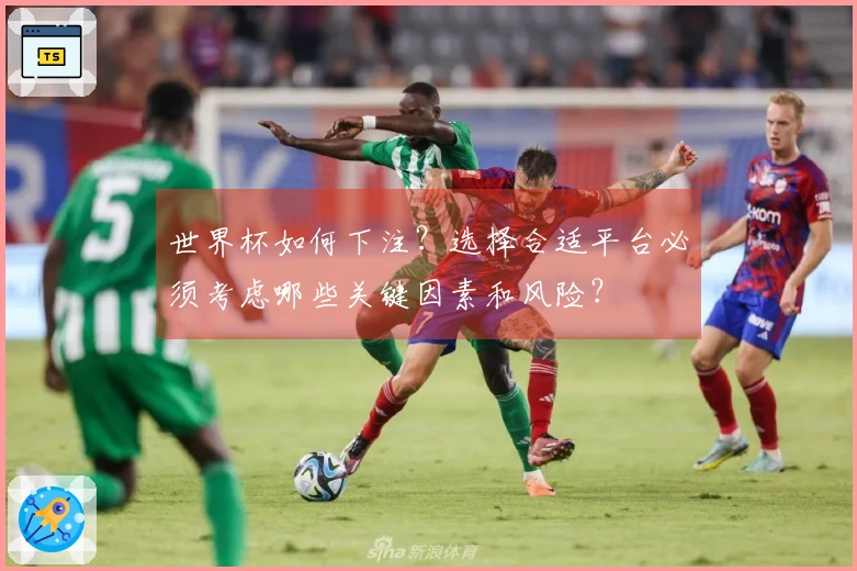 世界杯如何下注？选择合适平台必须考虑哪些关键因素和风险？