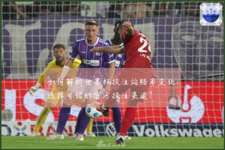 如何解析世界杯投注站赔率变化，选择可信的官方投注渠道？
