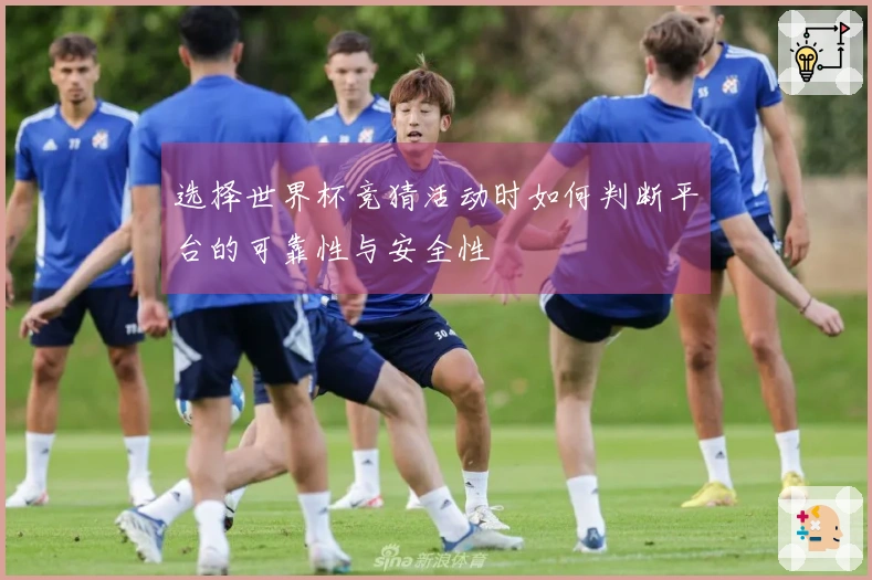 选择世界杯竞猜活动时如何判断平台的可靠性与安全性