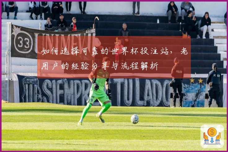 如何选择可靠的世界杯投注站，老用户的经验分享与流程解析