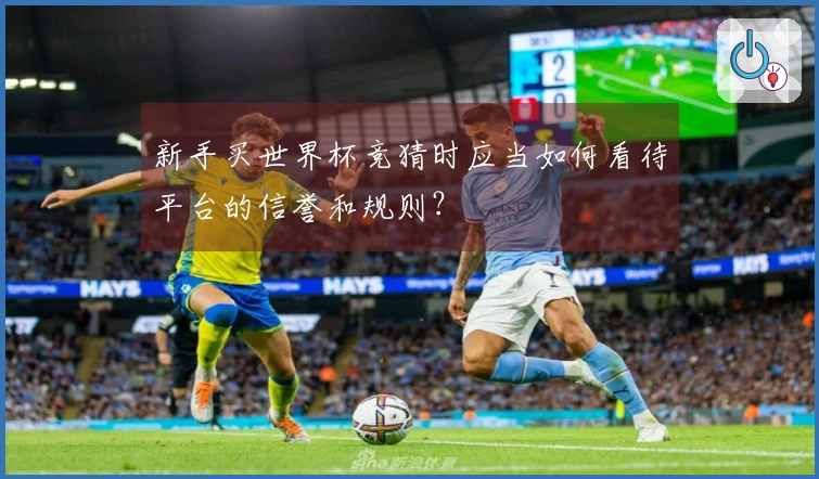 新手买世界杯竞猜时应当如何看待平台的信誉和规则？
