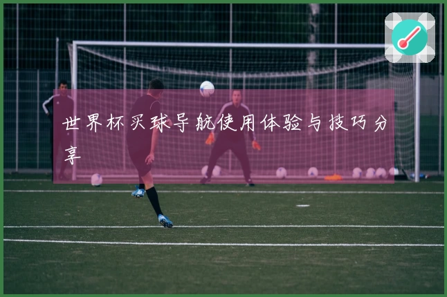 世界杯买球导航使用体验与技巧分享