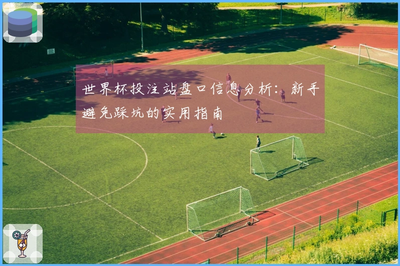 世界杯投注站盘口信息分析：新手避免踩坑的实用指南