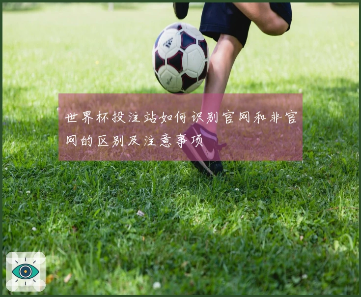 世界杯投注站如何识别官网和非官网的区别及注意事项