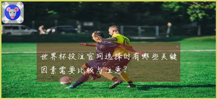 世界杯投注官网选择时有哪些关键因素需要比较与注意？