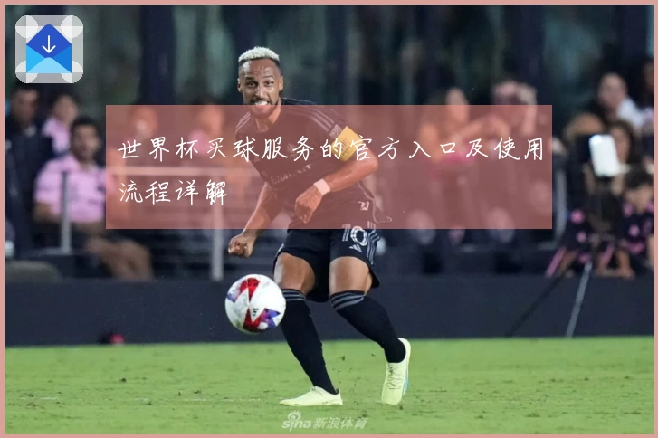 世界杯买球服务的官方入口及使用流程详解