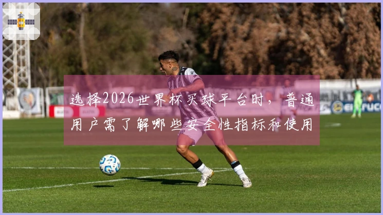 选择2026世界杯买球平台时，普通用户需了解哪些安全性指标和使用规范？