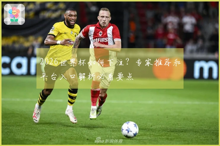 2026世界杯如何下注？专家推荐和平台入口解析必看要点