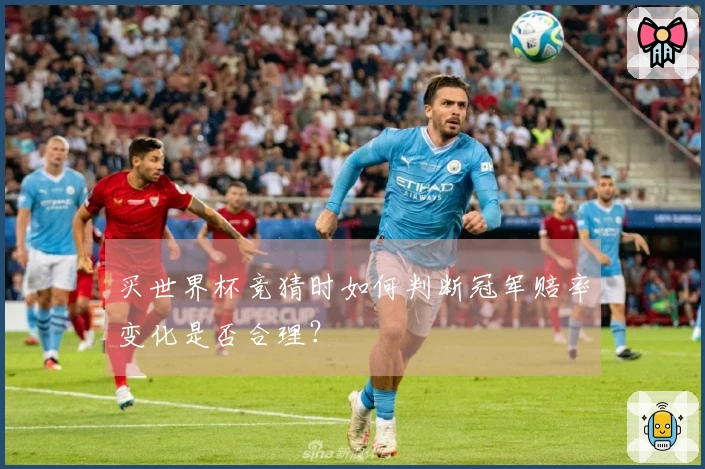 买世界杯竞猜时如何判断冠军赔率变化是否合理？