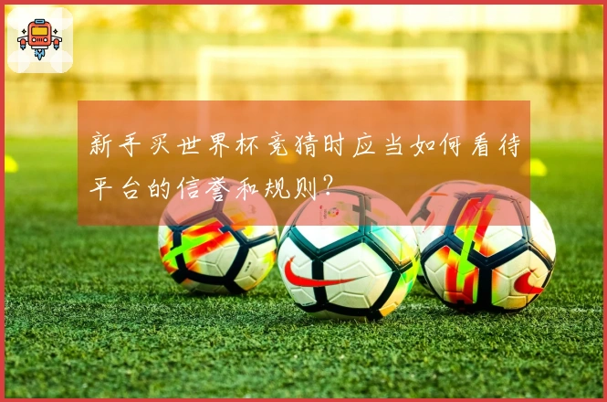 新手买世界杯竞猜时应当如何看待平台的信誉和规则？
