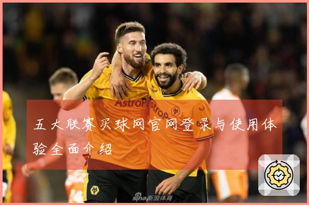 五大联赛买球网官网登录与使用体验全面介绍